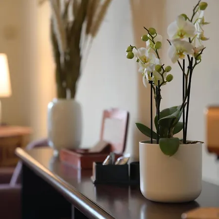 招待所 Dimora Conte Cavour 4*